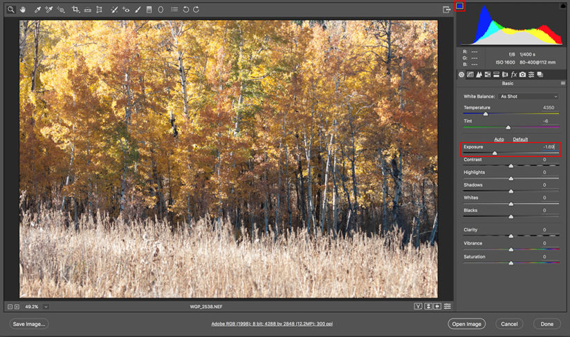 Neutral fall color, after initial exposure adjustment