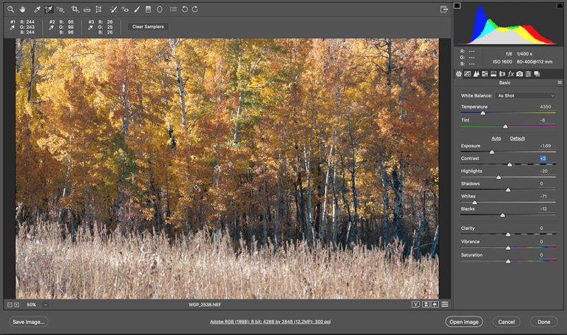 Neutral fall color, final exposure adjustments