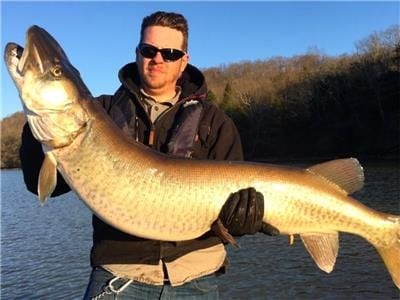 TN Pending State Record Muskellunge Caught In Melton Hill Reservoir