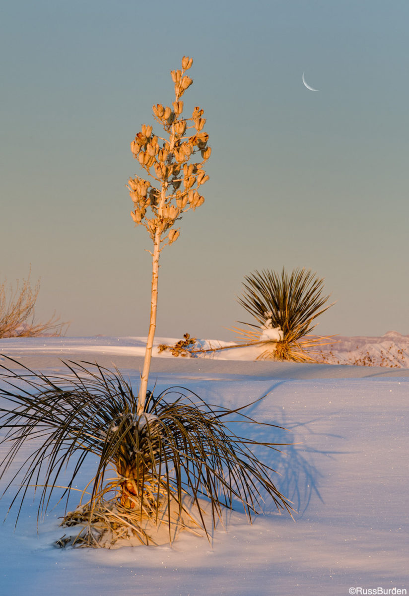 Frosty Foto Fun 