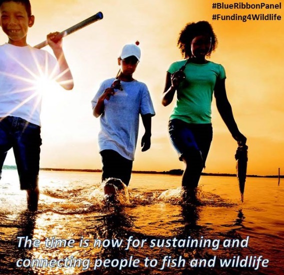 FWC endorses national strategy aimed at conserving fish, wildlife