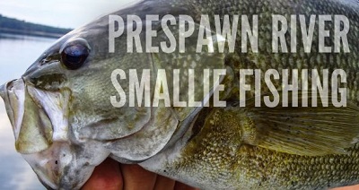 Get Ahead of the Pre-Spawn River Bass