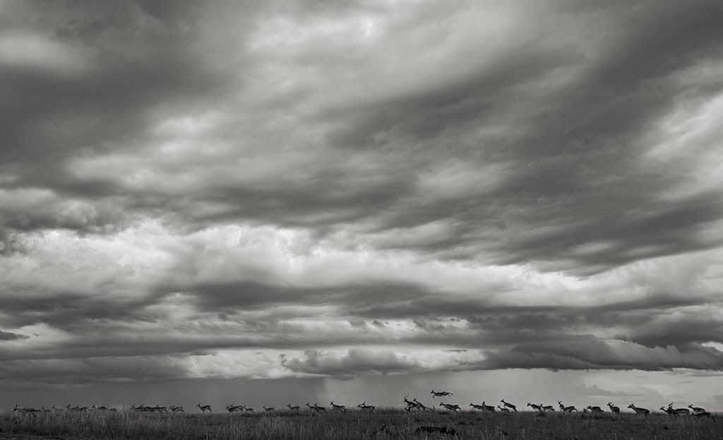 Last Frame: Sky's The Limit