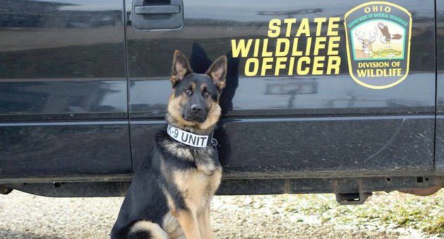 OHIO ODNR division of wildlife dog k9