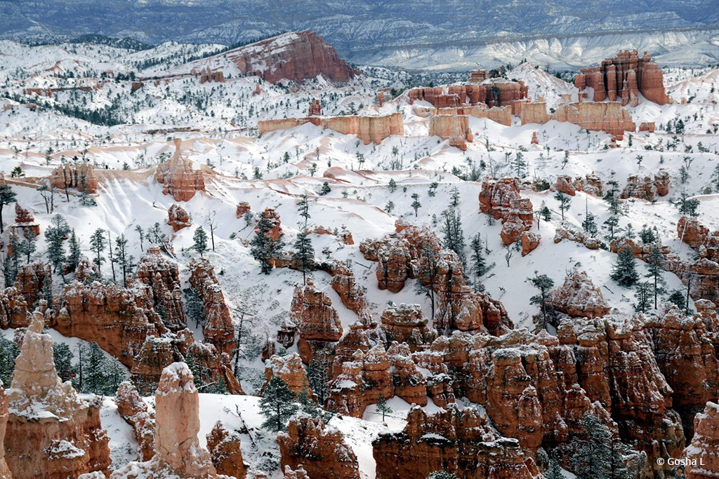 Today’s Photo Of The Day is “Bryce Canyon National Park” by Gosha L. Location: Utah.