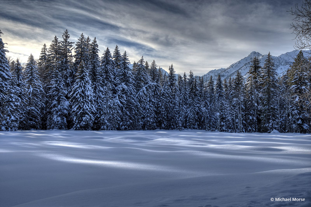 Today’s Photo Of The Day is “Afternoon’s Winter Delight” By Michael Morse. Location: Wyoming. 