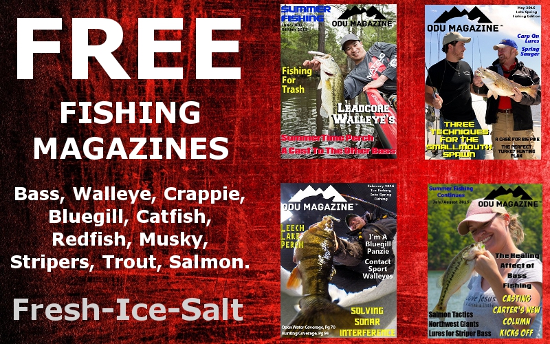 Free digital fishing magazine