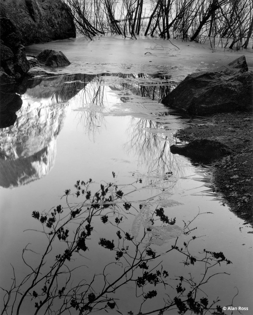 ice reflections in black-and-white