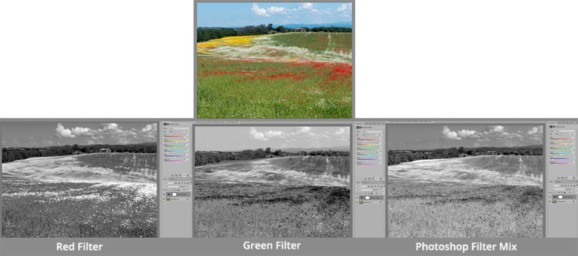 Effects of different filter settings in Photoshop when converting to black-and-white are shown