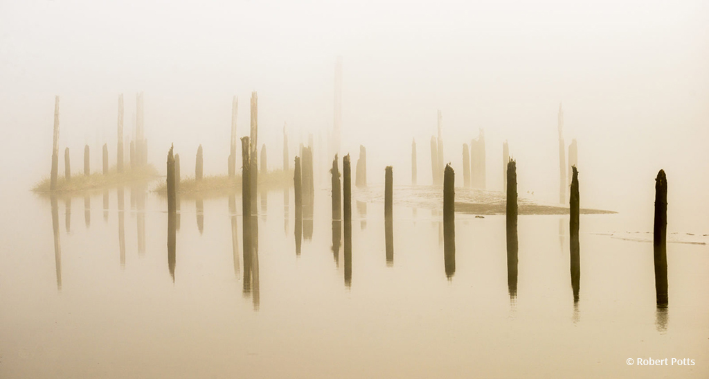 Today’s Photo Of The Day is “Pilings in the Fog” by Robert Potts. Location: Lewis and Clark National Historical Park, Astoria, Oregon.