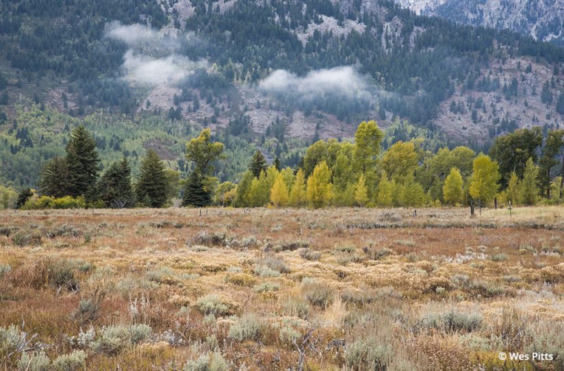 Fall colors in Grand Teton taken with the Tamron SP 24-70mm F/2.8 Di VC USD G2