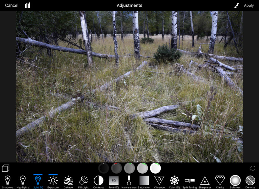 ACDSee Pro For iOS: Light EQ