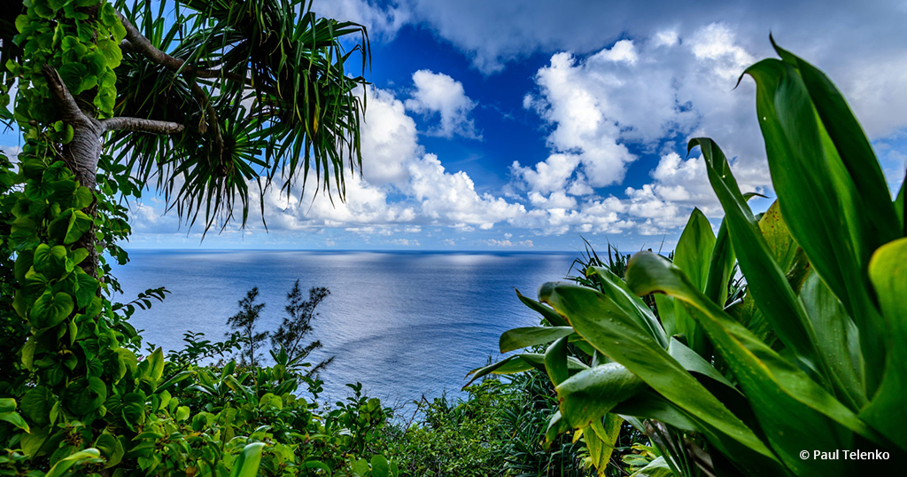 Today’s Photo Of The Day is “Blue Hawaii” by Paul Telenko. Location: Kauai, Hawaii.