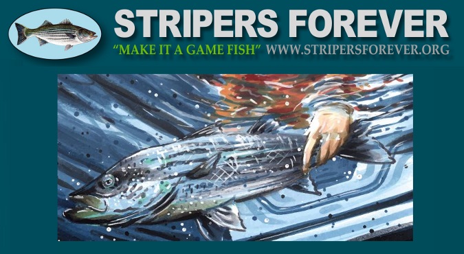 Stripers Forever