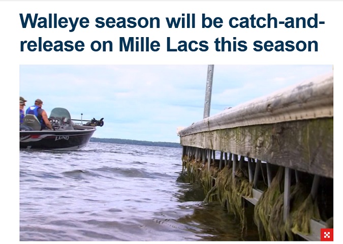 Mille Lacs Is Catch and Release Only