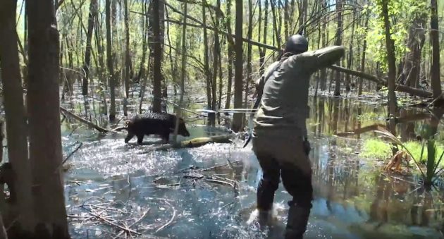 This Trad Archery Hog Hunt In The Swamp Got Pretty Exciting