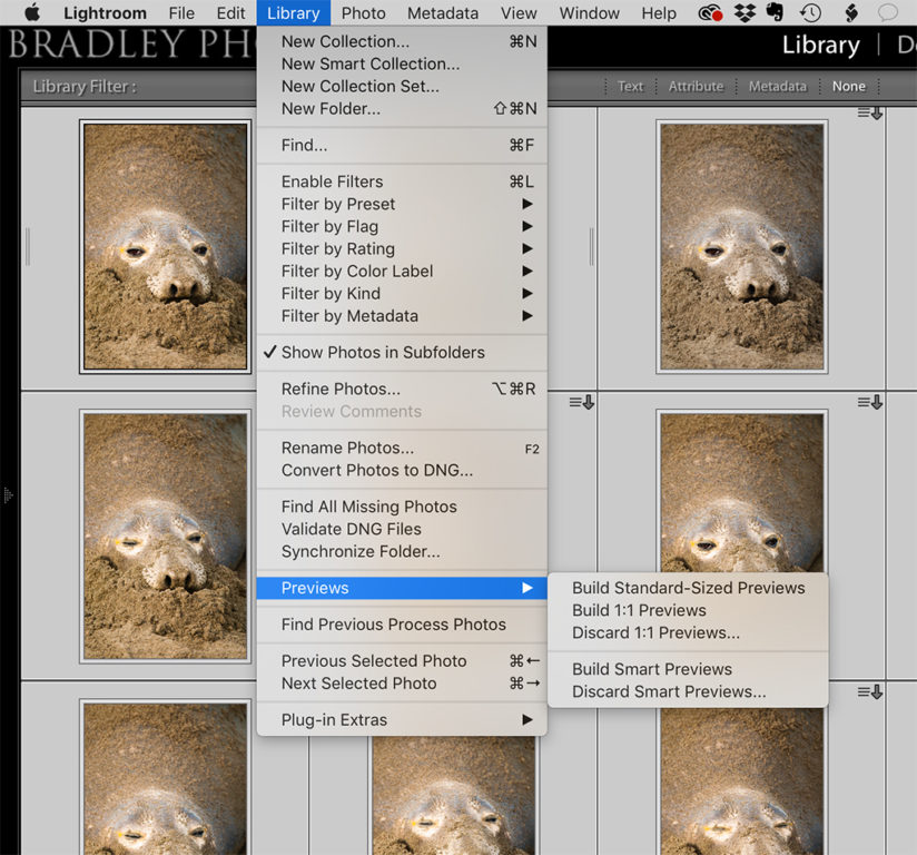 Keeping your photos safe by building Lightroom preview to check for problems