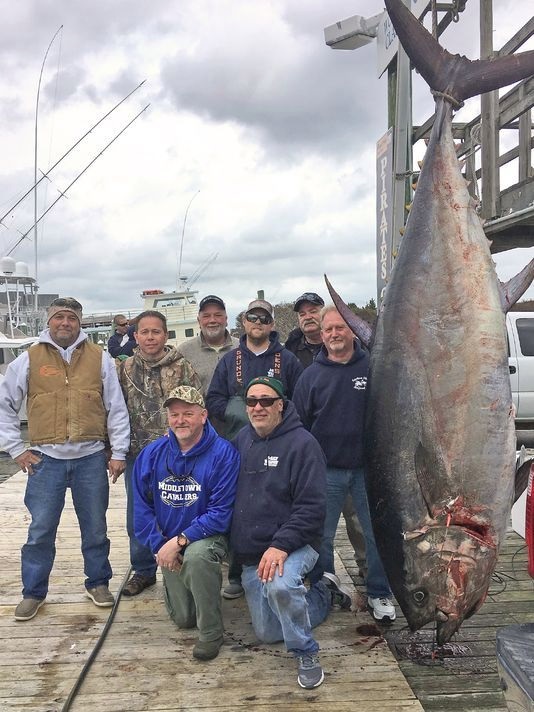 N.C. Division of Marine Fisheries Announces New Bluefin Record