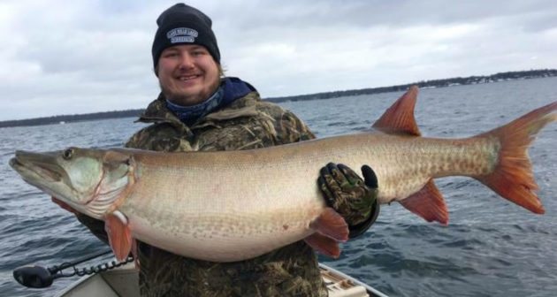 New Minnesota Record Musky