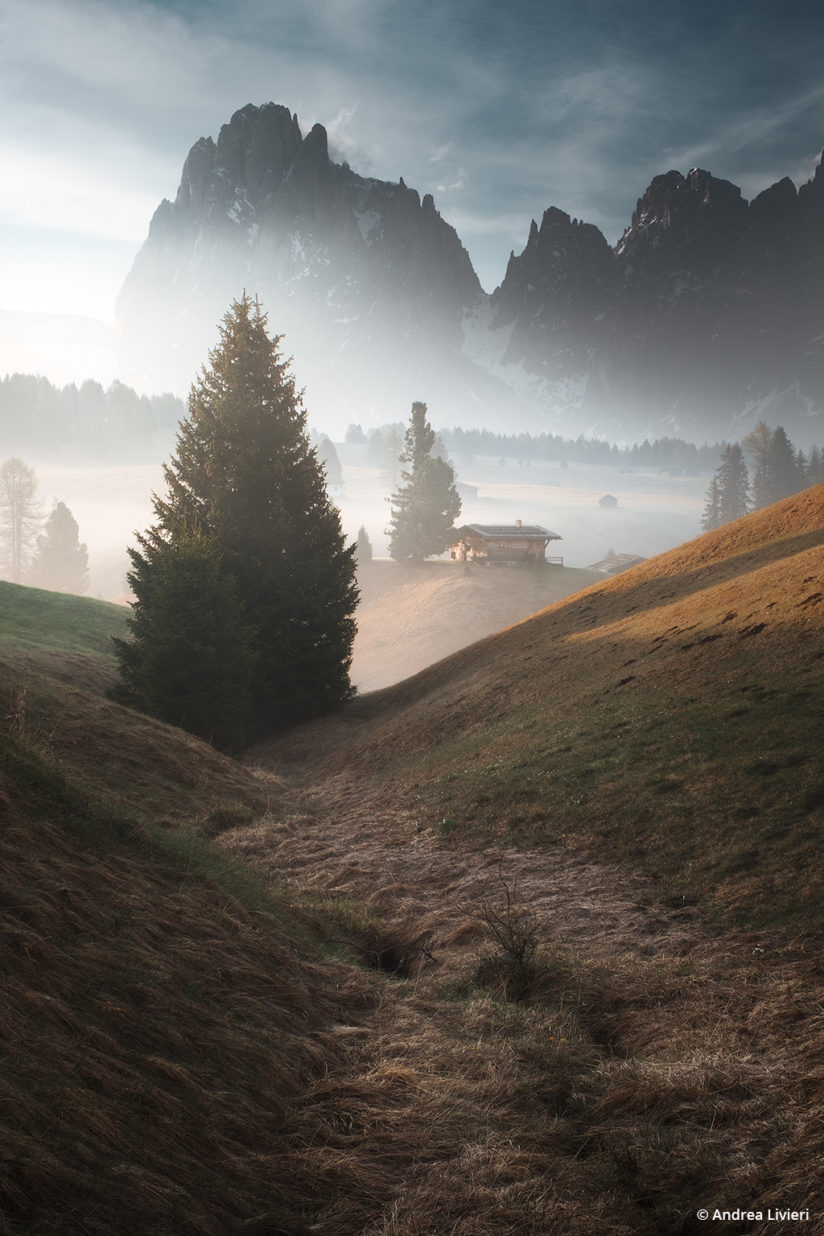Today’s Photo Of The Day is “First lights in Seiser Alm” by Andrea Livieri. Location: Seiser Alm, Dolomites mountain range, Italy.