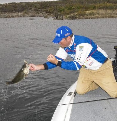 Tournament Pro Clark Reehm Likes Floating Jerkbaits for Cold Water Bass 