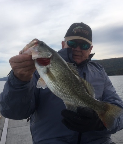 Winter Locations For Big Largemouth