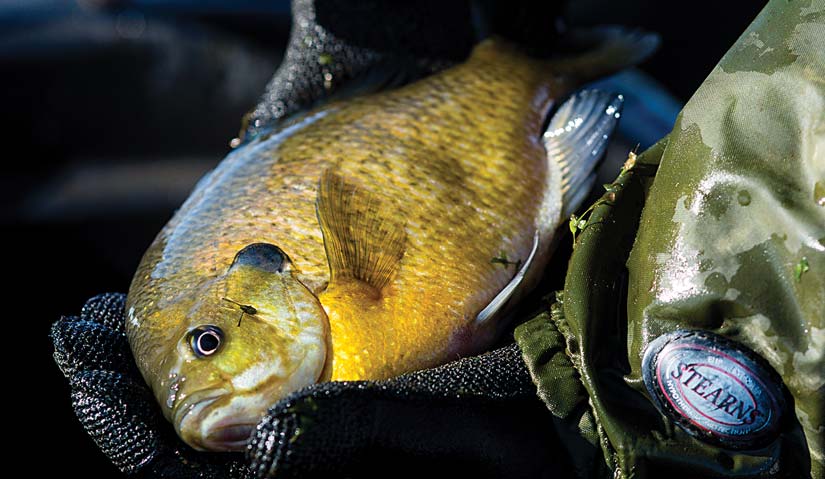 Over the last 6 years a major project has improved access and restored aquatic habitat on the Valentine National Wildlife Refuge in Cherry County, setting the stage for its return as a world class fishery once common carp are removed.