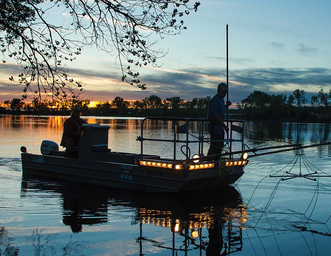 Fisheries biologists Jared Lorensen and Caleb Huber conduct an electrofishing survey on West Brady Wildlife Management Area, one of seven interstate lakes recently improved for angler access.