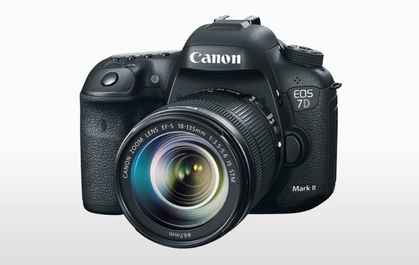 cameras for wildlife photography: canon eos 7d mark II