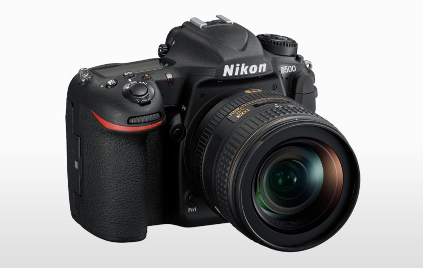 cameras for wildlife photography: nikon d500