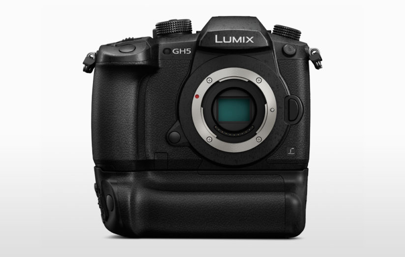 cameras for wildlife photography: panasonic lumix gh5