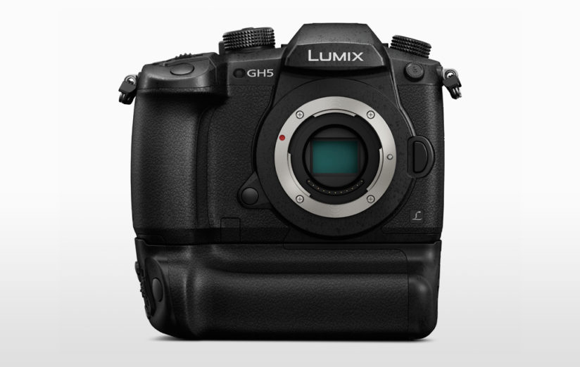 Best Cameras For Wildlife Photography Outdoor Enthusiast Lifestyle Best Cameras For Wildlife Photography Outdoor Enthusiast Lifestyle