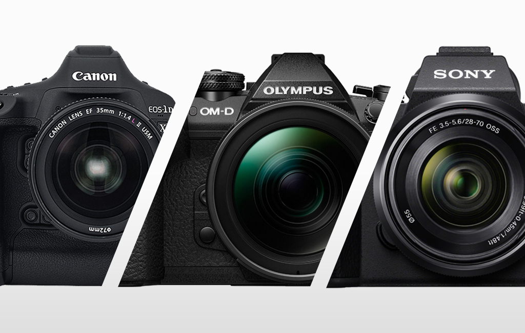 Best Cameras For Wildlife Photography Outdoor Enthusiast Lifestyle Magazine