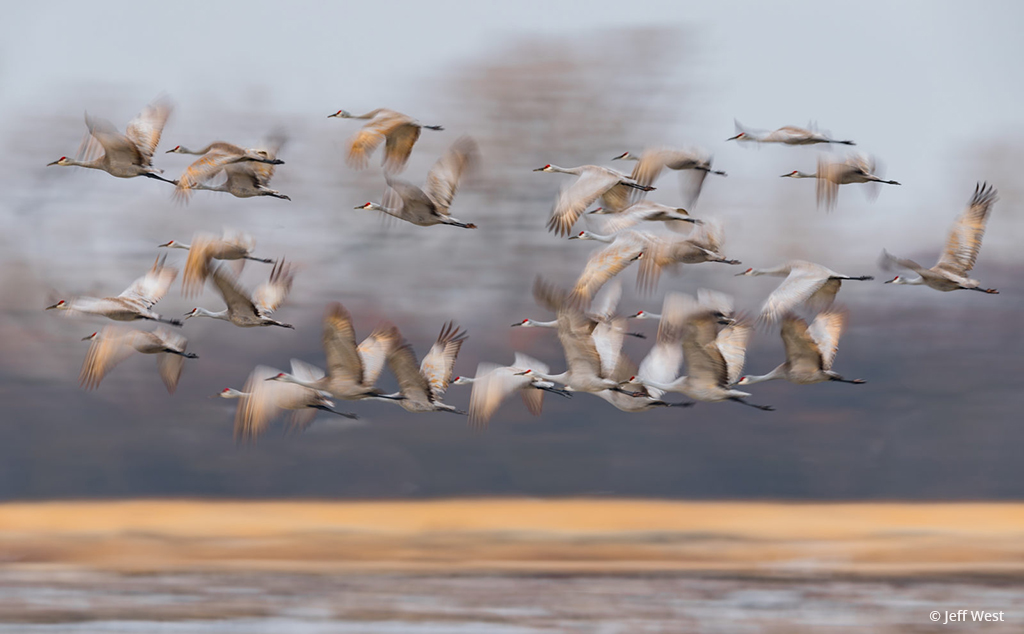 Earth Day Inspiration Assignment Winner Jeff West