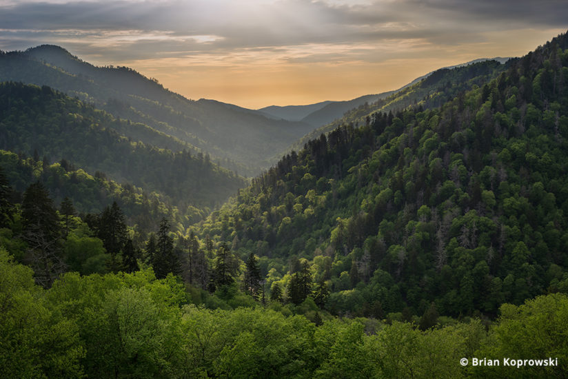 Morton Overlook, Great Smoky Mountains National Park, Tennessee