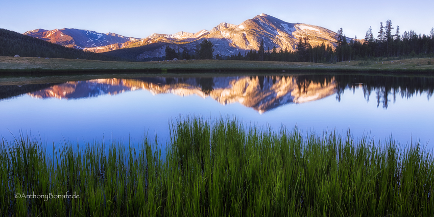 Today’s Photo Of The Day is “Meadow Sunrise” by Michael Bonafede. Location: Yosemite National Park, California. 
