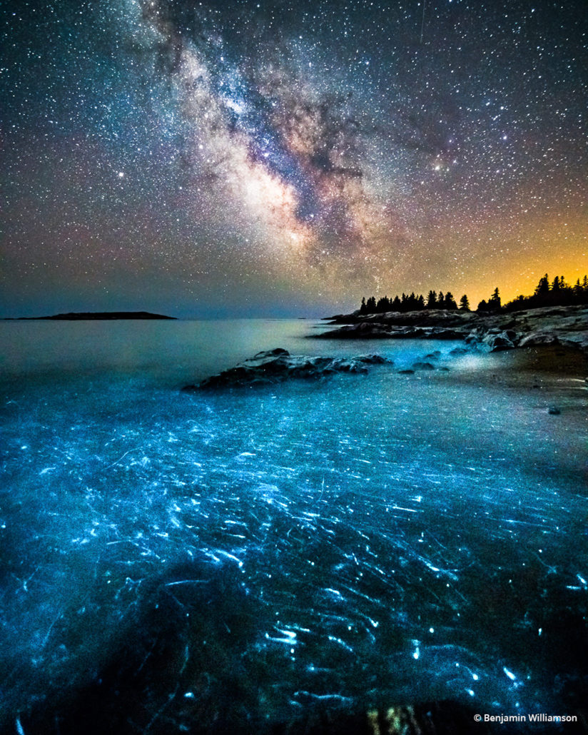 Today’s Photo Of The Day is “Bioluminescence” by Benjamin Williamson. Location: Georgetown, Maine. 