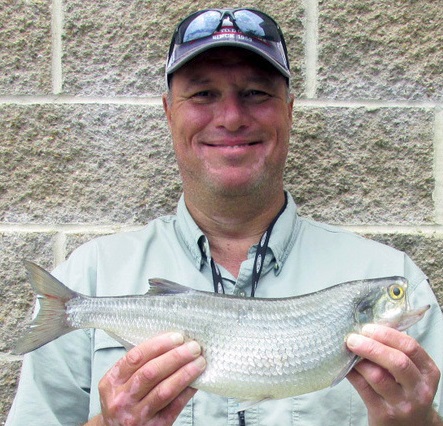 Sedalia angler hooks state-record goldeye