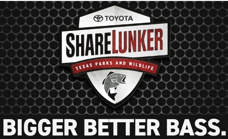 Toyota Sharelunker Program Welcomes Big Bass