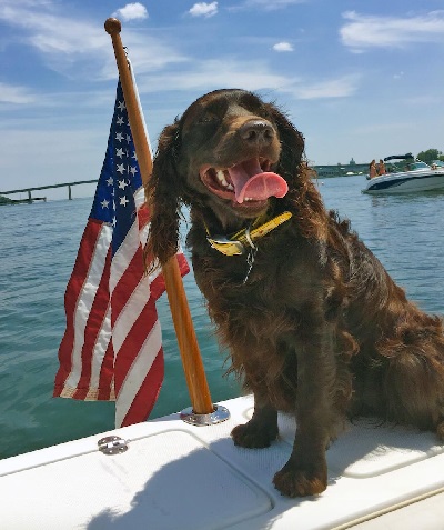 5 Pet Blunders We Made While Boating This Summer 1