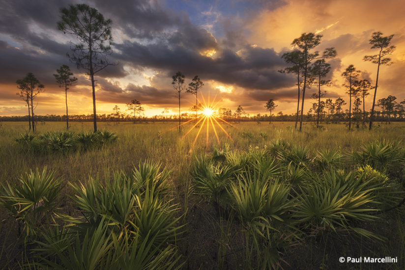 Florida Photo Hot Spots: Everglades National Park