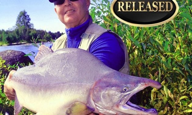 Four IGFA Hot Catches – September 2016