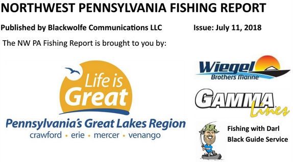 NW PA Fishing Report For Early July 2018