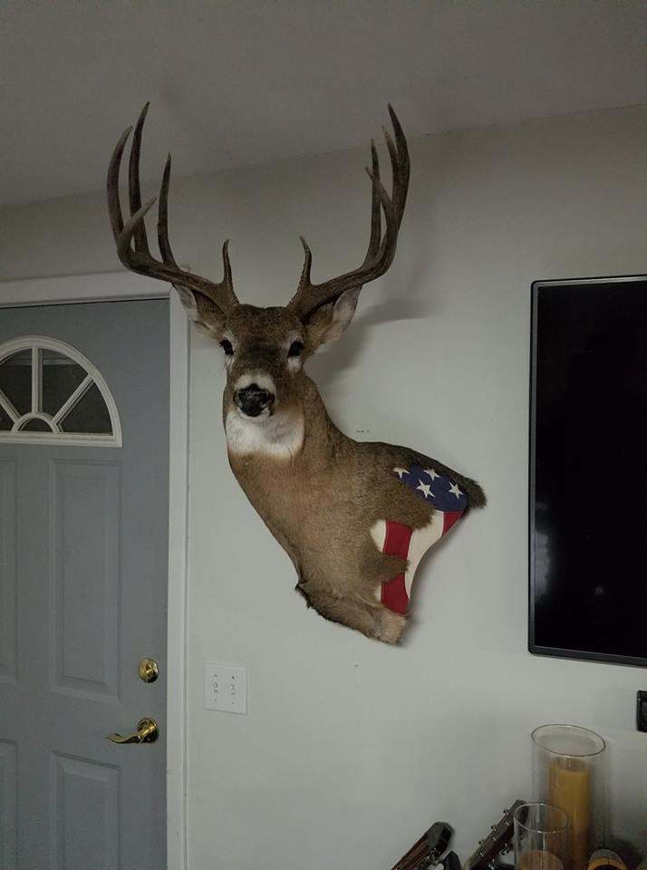 Whitetail Mount