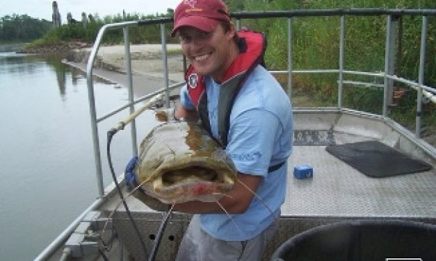 IOWA DNR – Hooking Summer Catfish