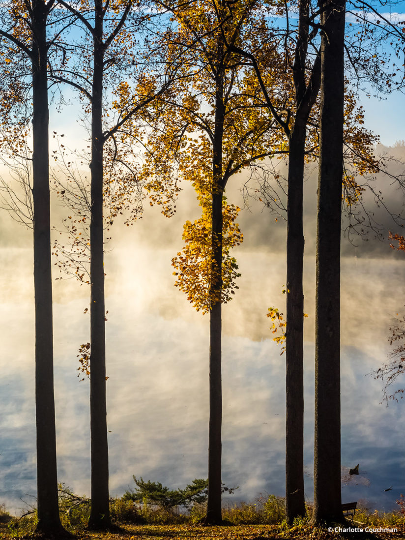 Today’s Photo Of The Day is “Morning Mist on Clopper Lake” by Charlotte Couchman. Location: Seneca Creek State Park, Montgomery County, Maryland.