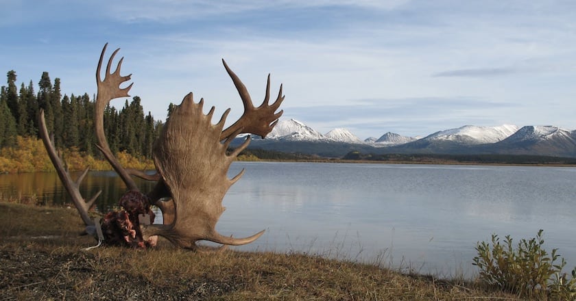 The Big List of Where to Hunt in Canada british columbia