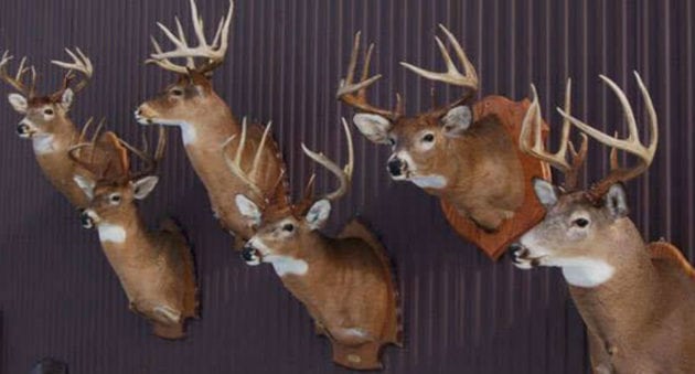 Deer Season Goals