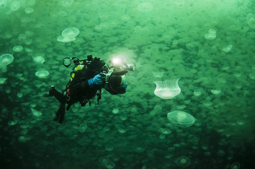 Inside Passage "Smudges"