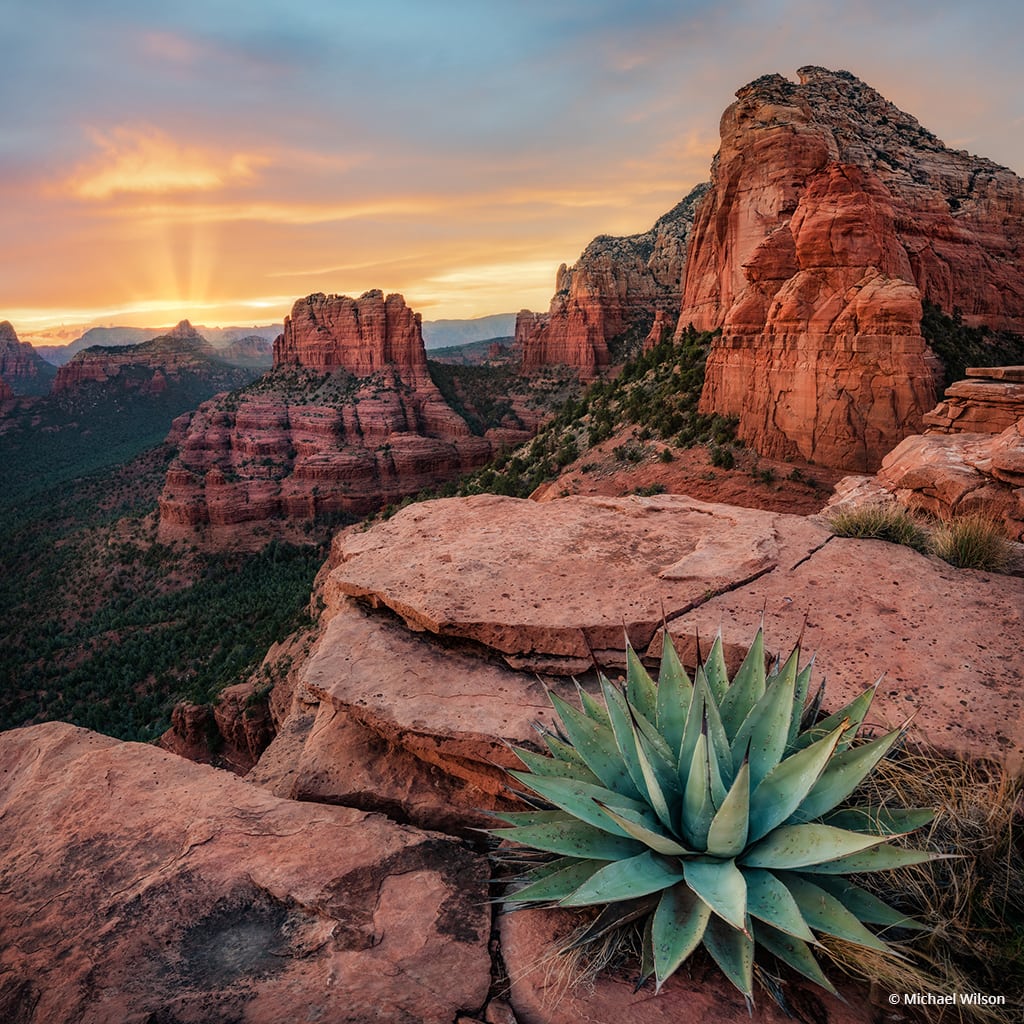 Today’s Photo Of The Day is “Agave Sunset” by Michael Wilson. Location: Sedona, Arizona. 